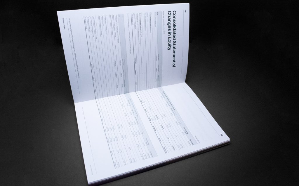 Annual Report 2019. Financial Section