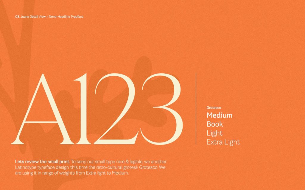 Headline & Non-headline typeface