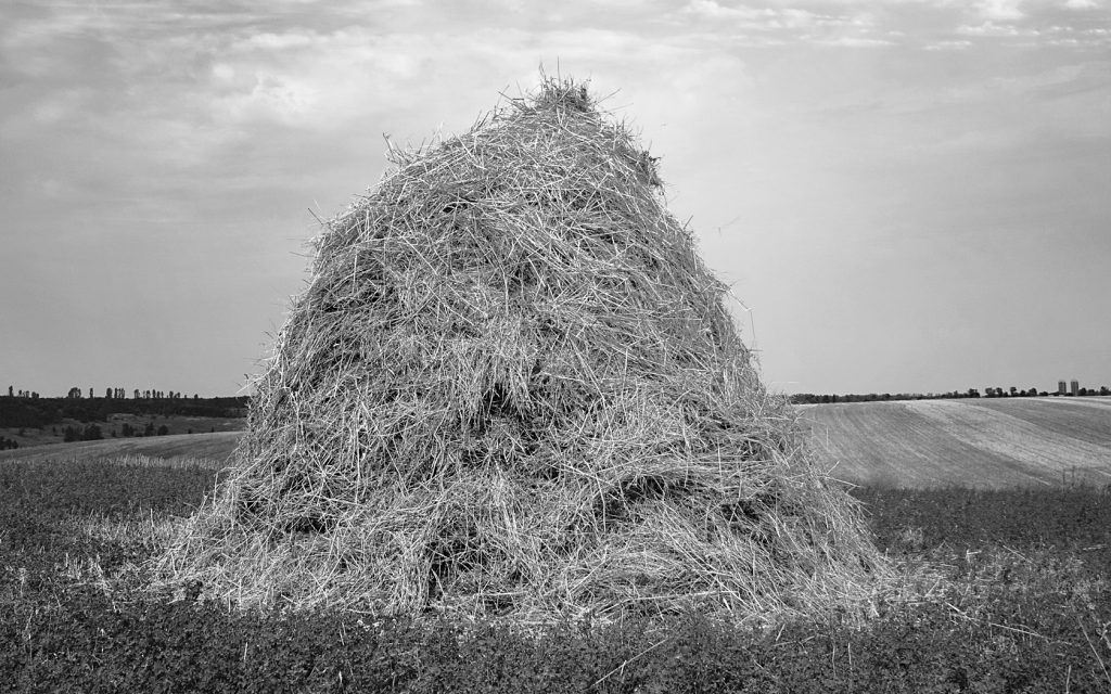 Unisono. Haystack