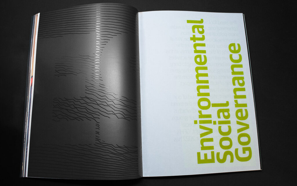 Annual Report ESG section divider