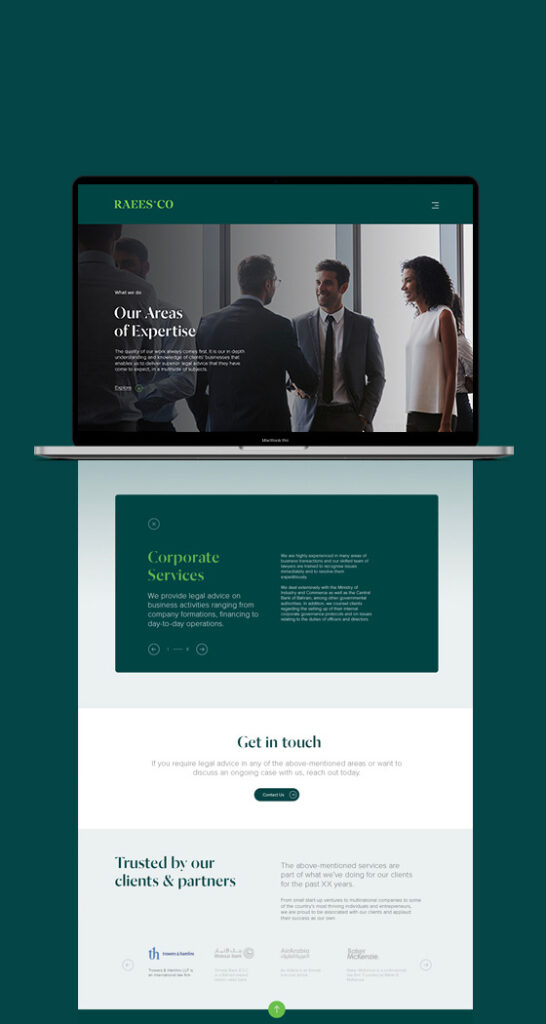 Raees & Co. Website design