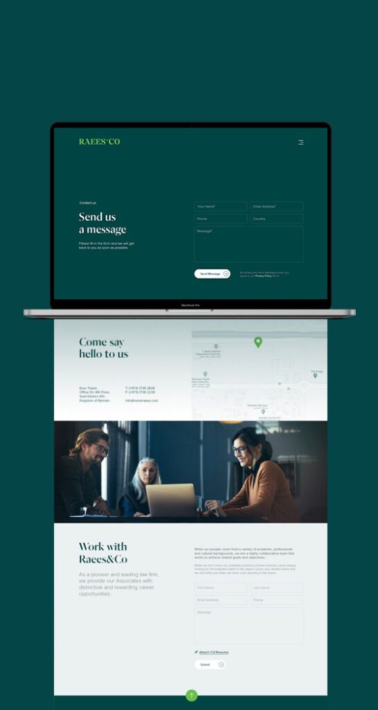 Raees & Co. Website design