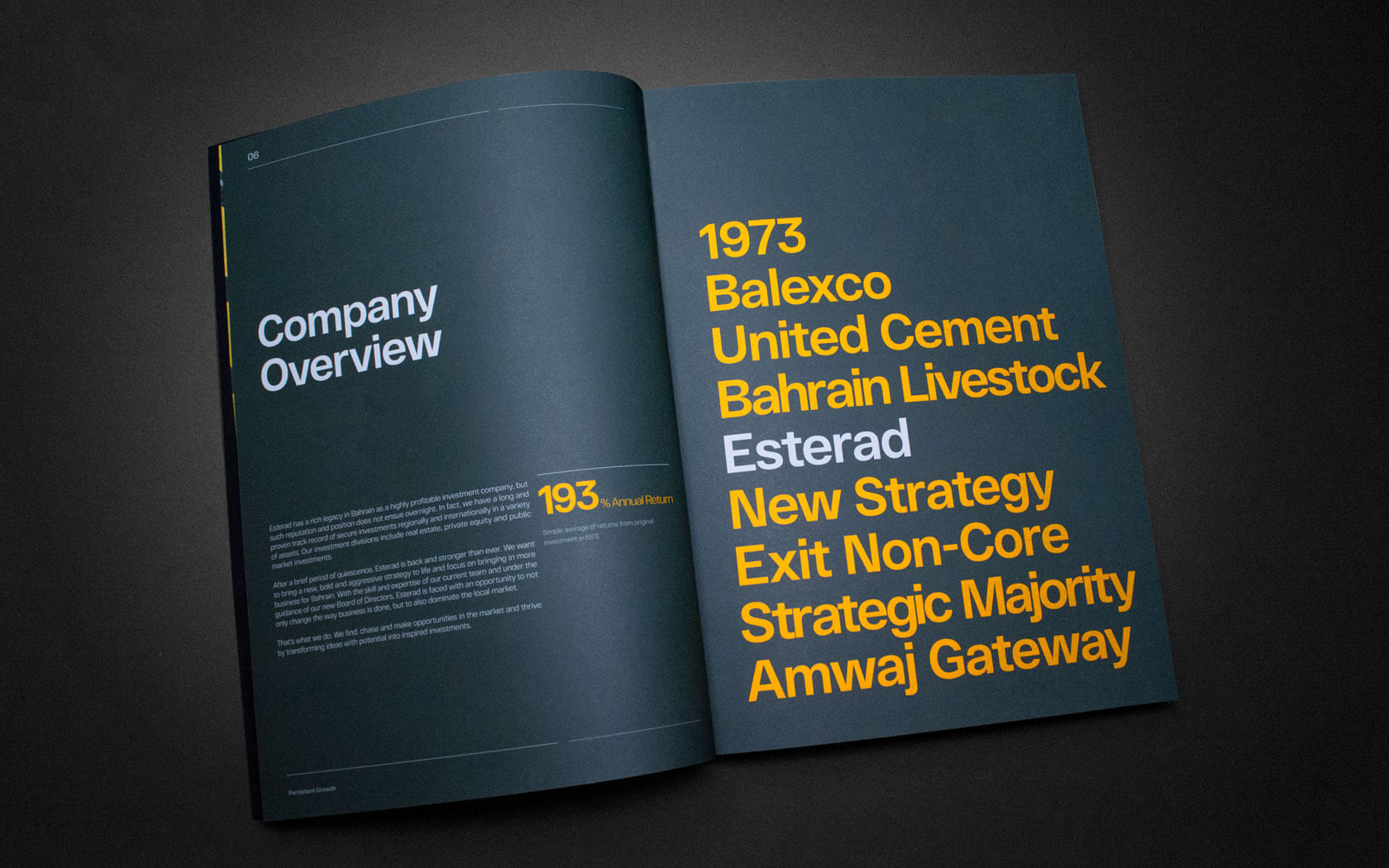 Annual Report 2019. Black spread with large font style