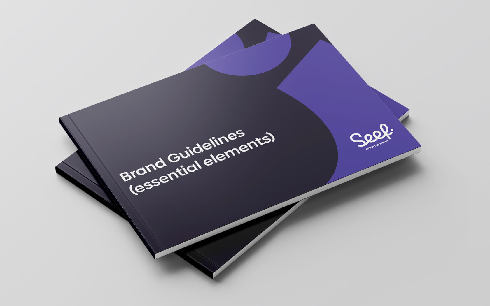 Seef. Brand Guidelines Cover