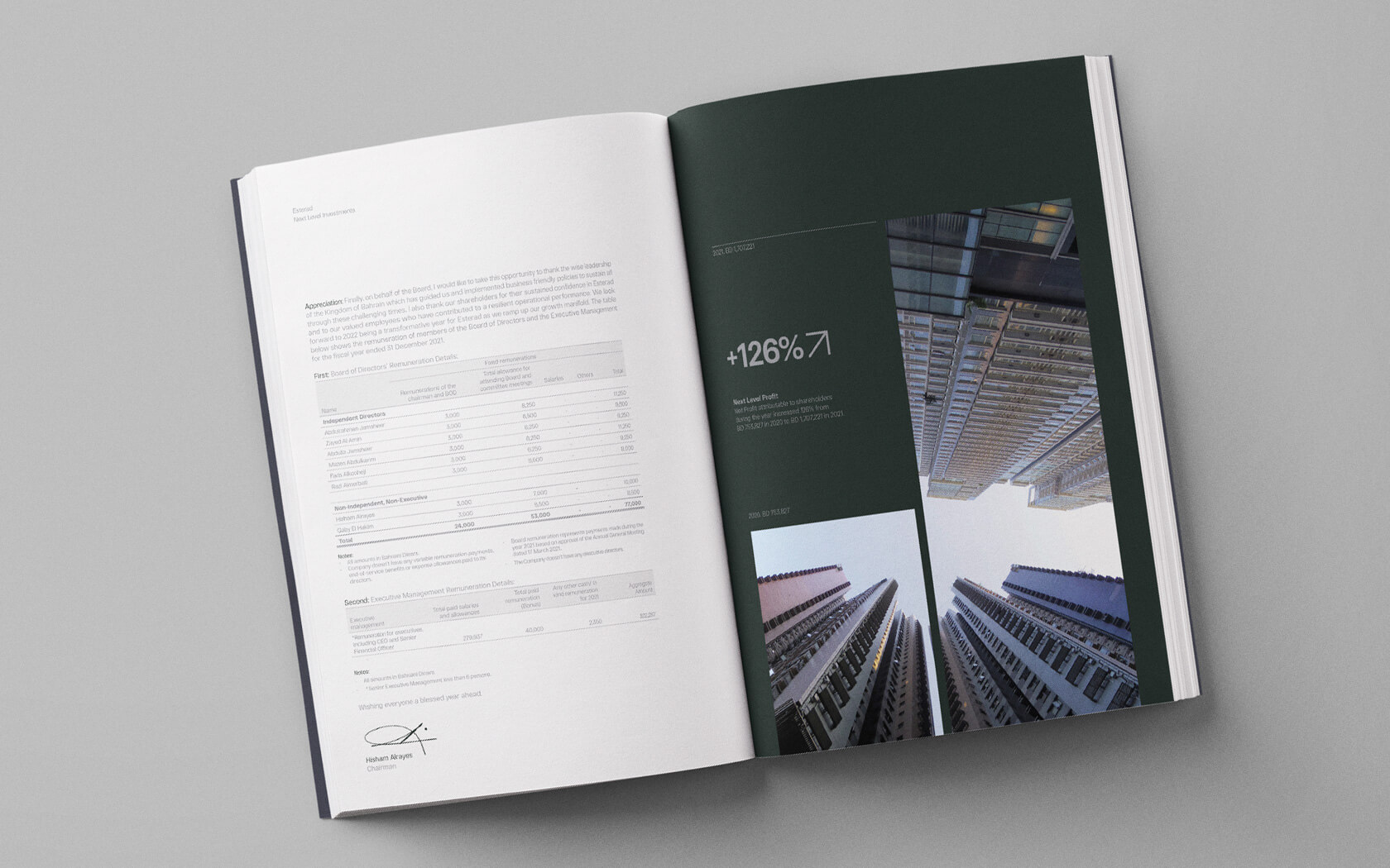 Annual Report 2021. Financial table with images layout