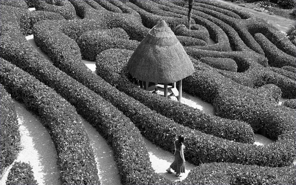 Unisono. black and white of hedge maze