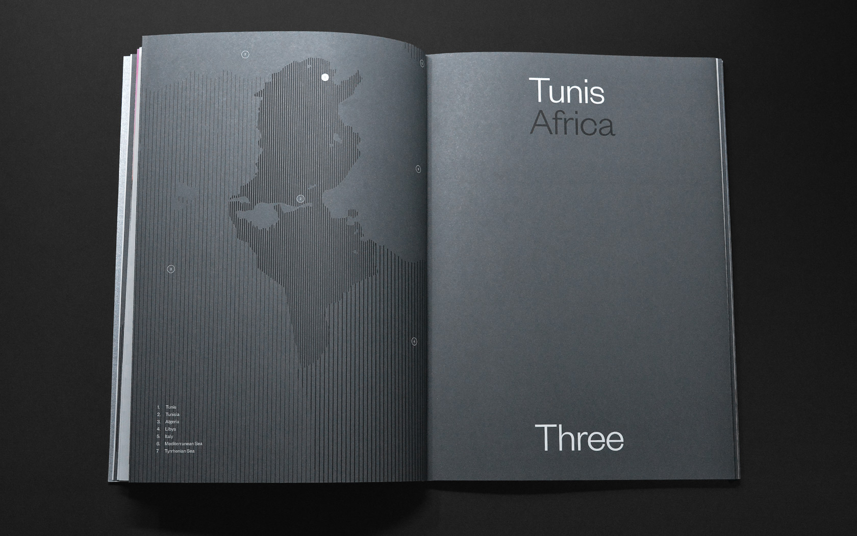 Infracorp Brochure. Tunis project section divider