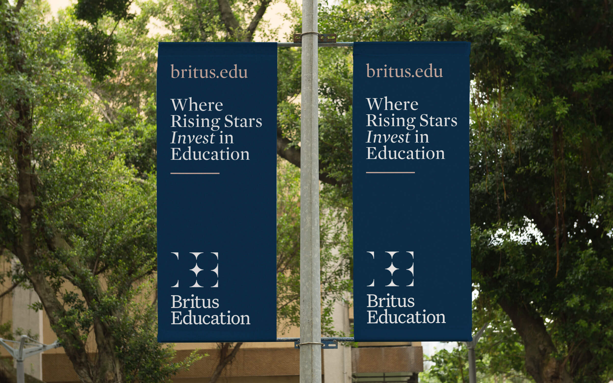 Britus Education. Hanging flags