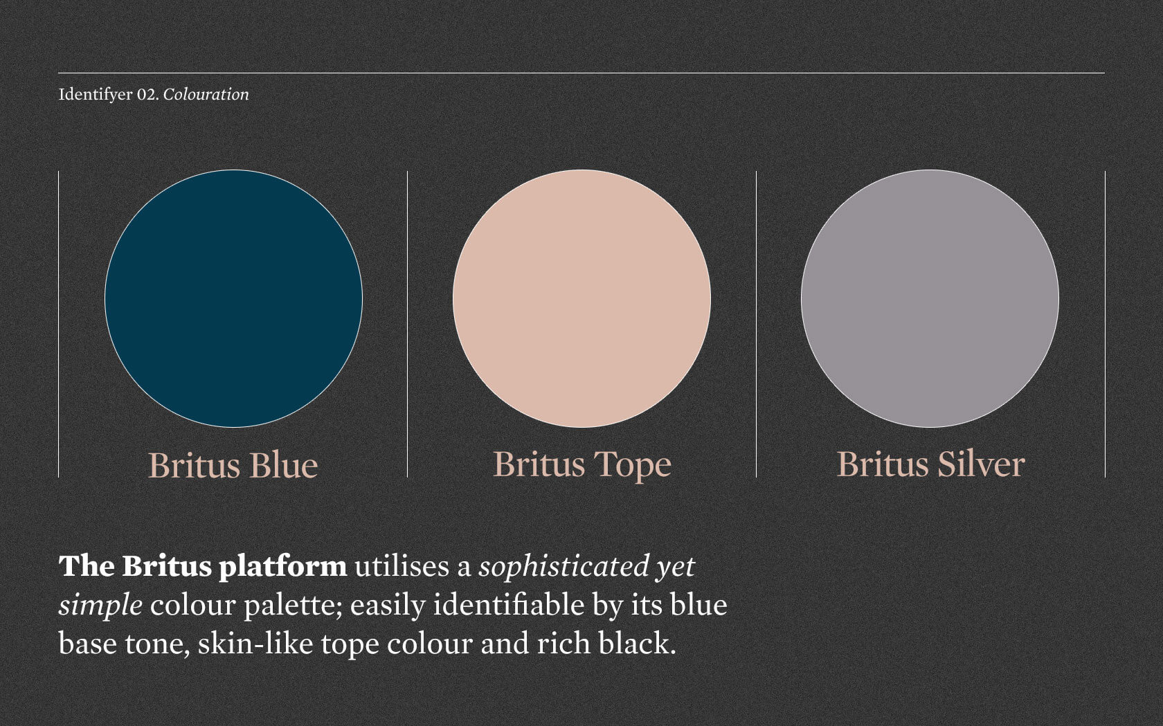 Britus Education. Brand colours