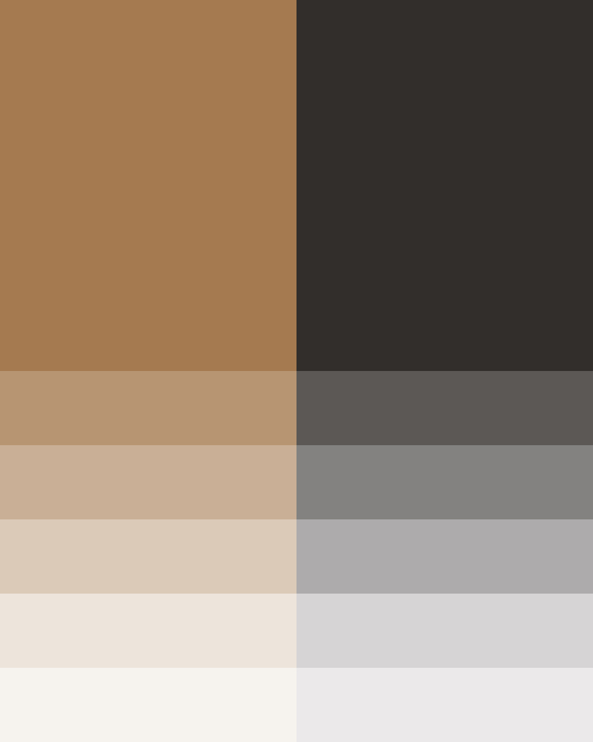 Brand swatches for GFH